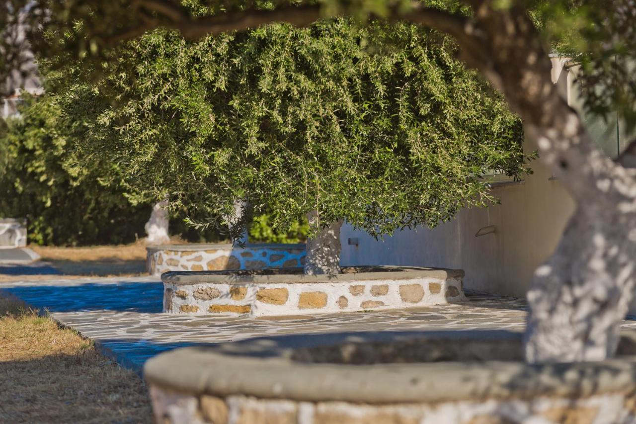 Olive Studios Karpathos Studio #4 Екстериор снимка
