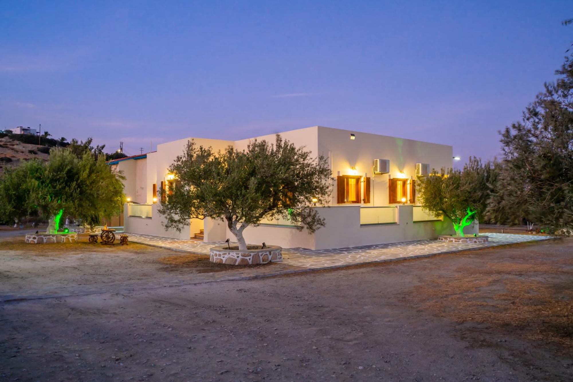 Olive Studios Karpathos Studio #4 Екстериор снимка