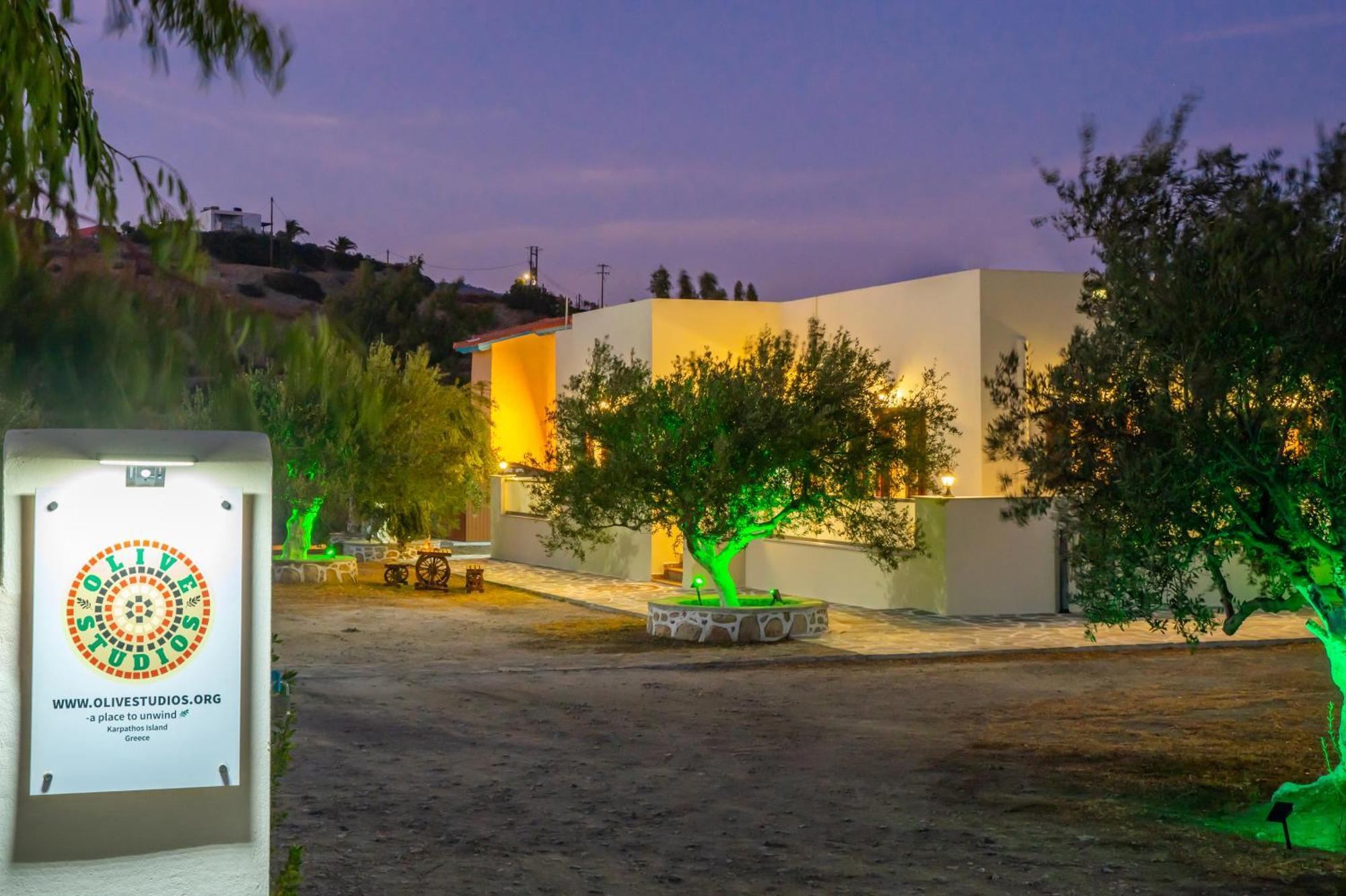 Olive Studios Karpathos Studio #4 Екстериор снимка